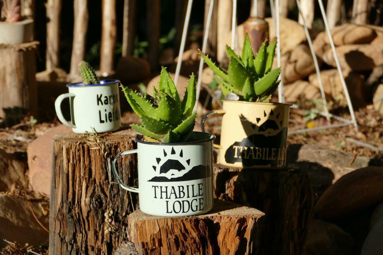 Thabile Lodge Oudtshoorn Eksteriør billede