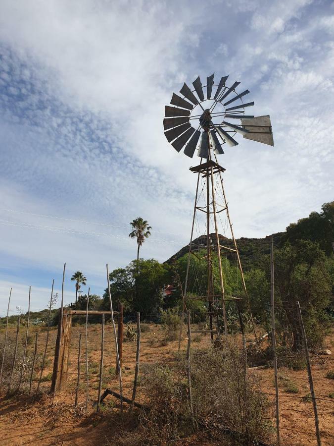 Thabile Lodge Oudtshoorn Eksteriør billede
