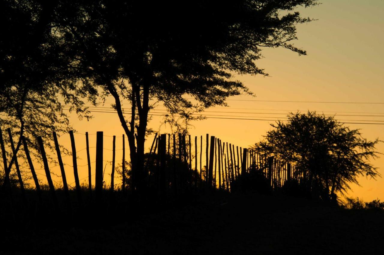 Thabile Lodge Oudtshoorn Eksteriør billede