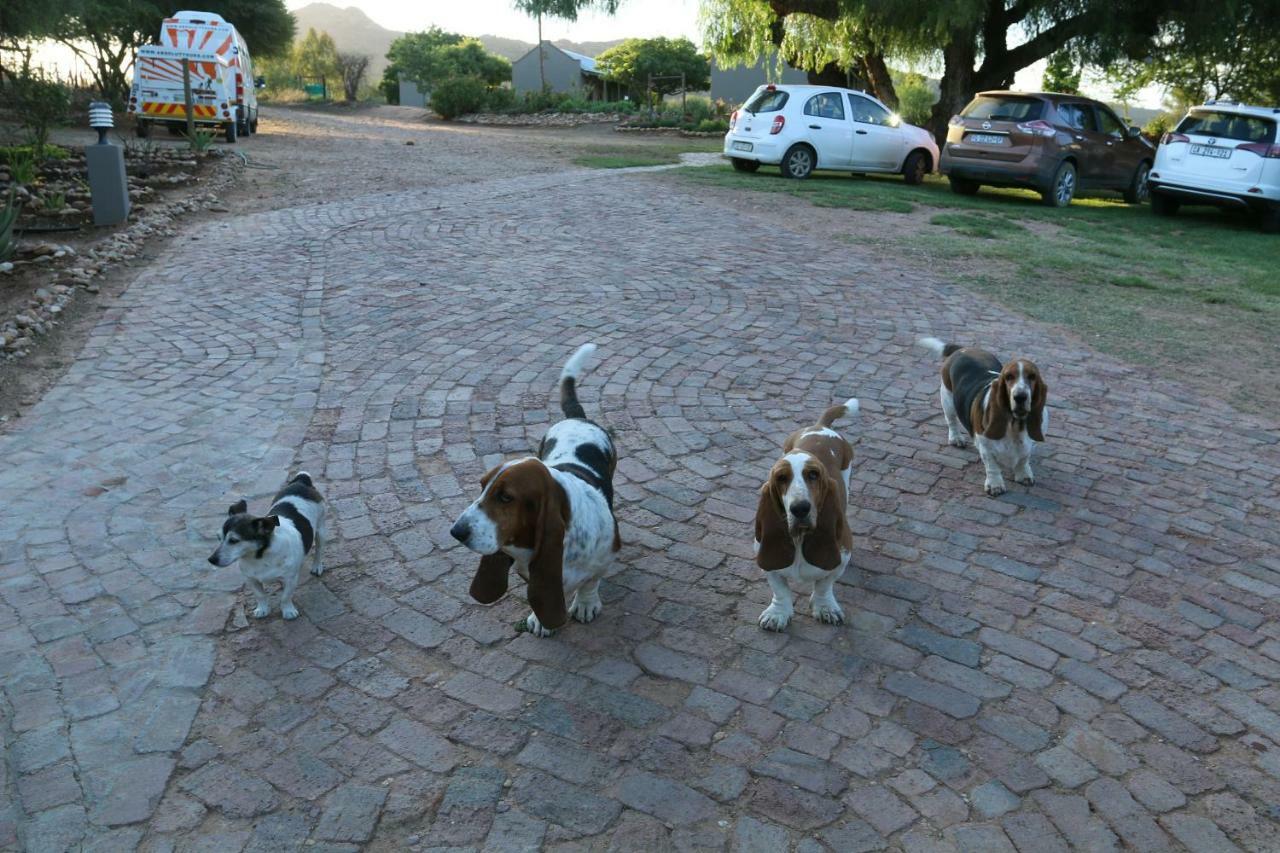 Thabile Lodge Oudtshoorn Eksteriør billede